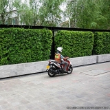motoboy entrega Parque Cecats